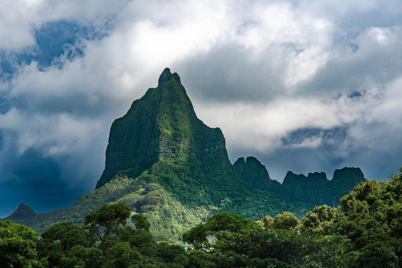 Moorea - Fare Nihei Maharepa  Buitenkant foto